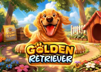Golden Retriever - STARBET388