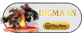 Digman - STARBET388